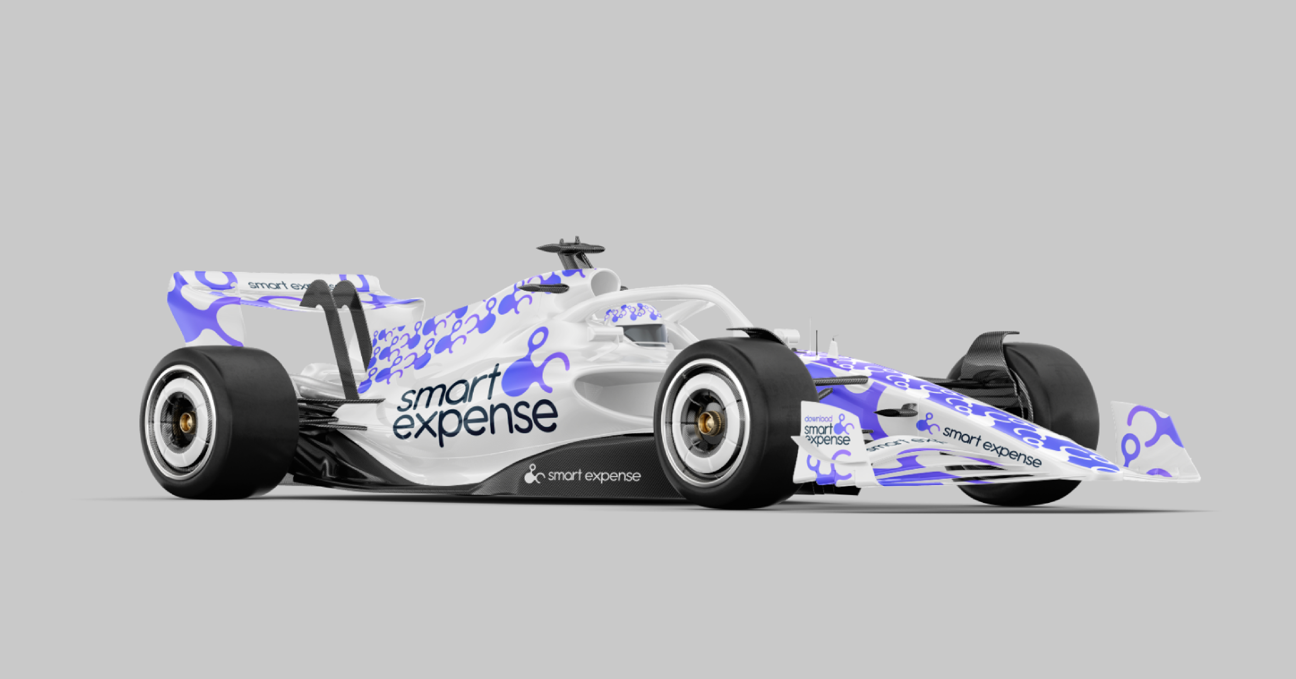 Smart Expense Logo Variation 1